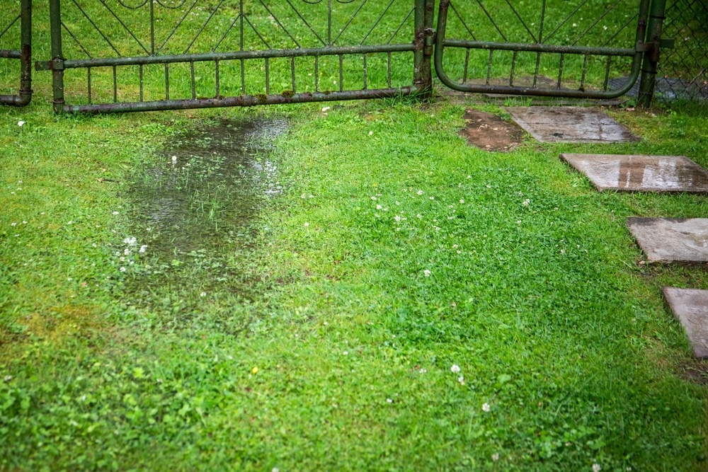 Why Water Keeps Pooling Near Your Kenner Homes Foundation - drainage solutions in kenner - la terre landscape