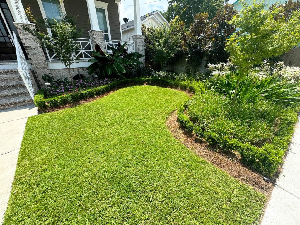 harahan yard - landscaping services in harahan - laterre landscape