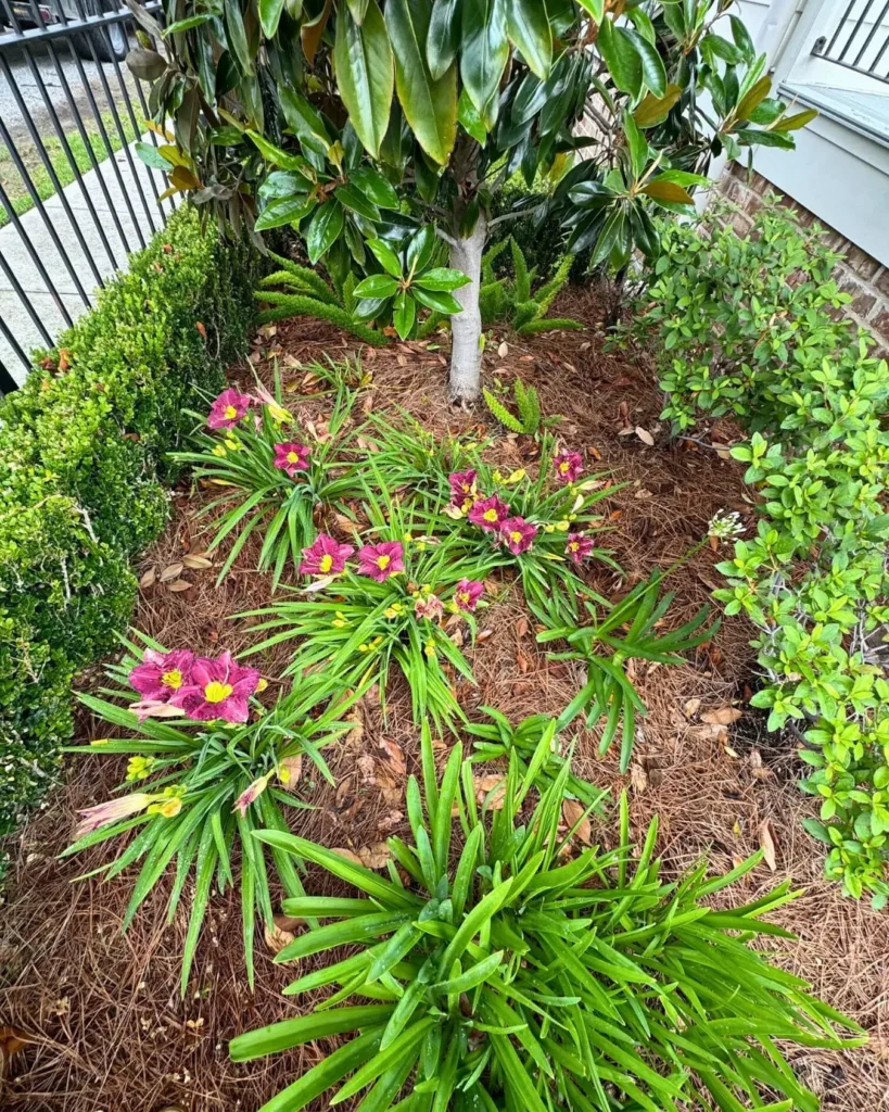 laterre landscape - landscaping services in harahan - preparing earth