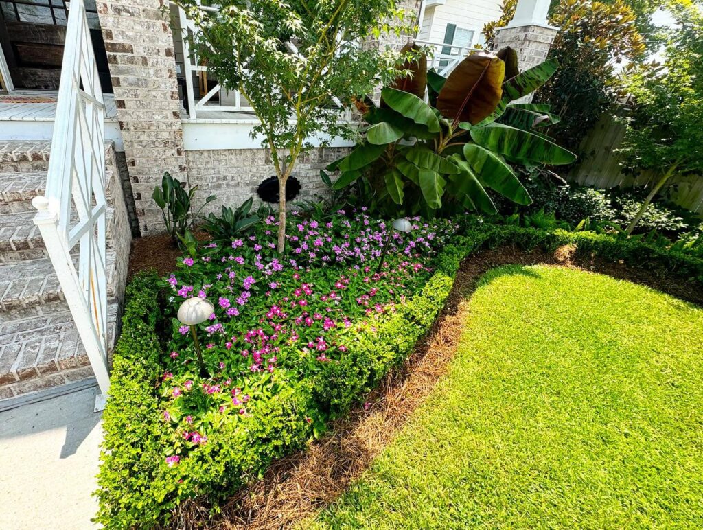 Front garden with pink flowers, trimmed hedges, tropical plants, and landscape lighting beside brick porch steps - landscape new orleans